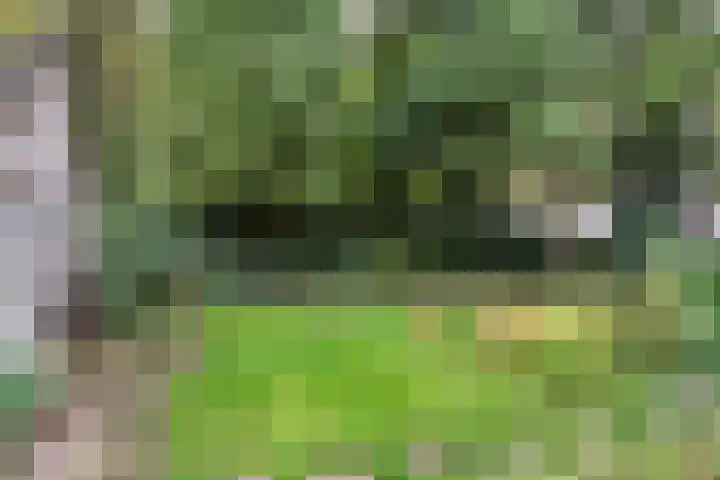 Bargapark 12 a Bergen L thumbnail 5