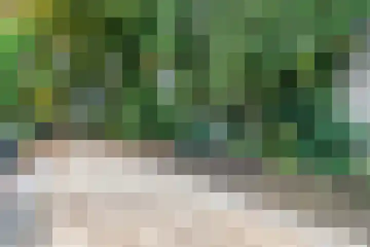Bargapark 12 a Bergen L thumbnail 52