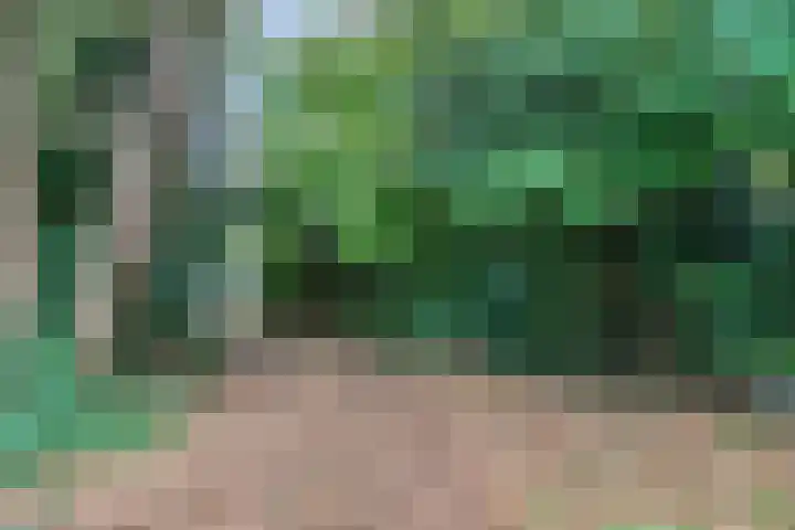 Bargapark 12 a Bergen L thumbnail 53