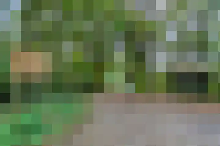 Bargapark 12 a Bergen L thumbnail 54