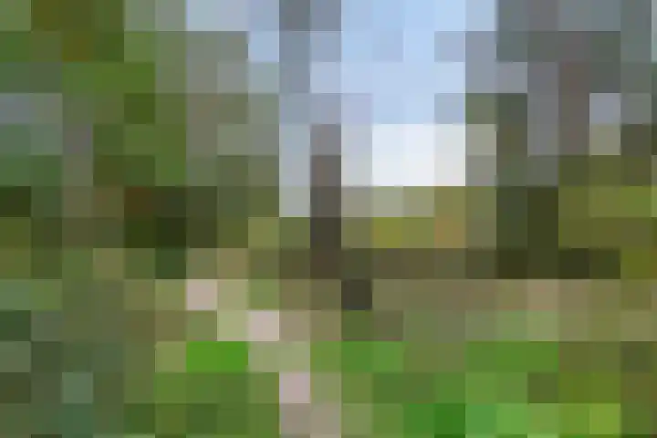 Bargapark 12 a Bergen L thumbnail 55
