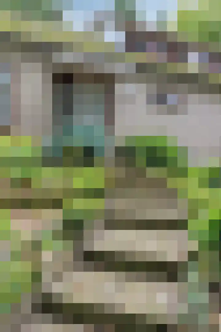 Bargapark 12 a Bergen L thumbnail 7