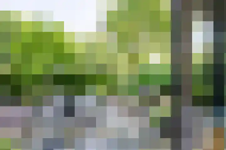 Bargapark 37 Bergen L thumbnail 37