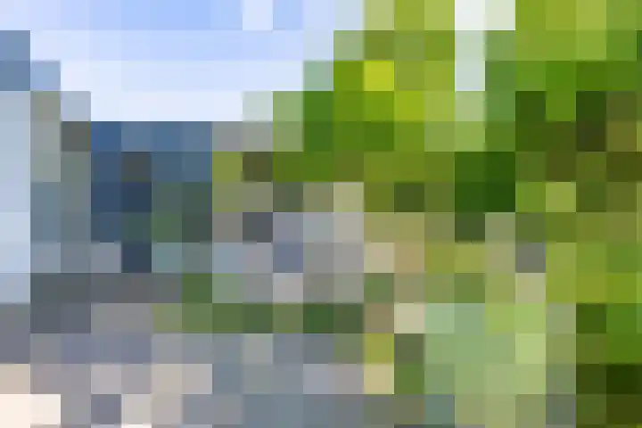Bargapark 37 Bergen L thumbnail 5