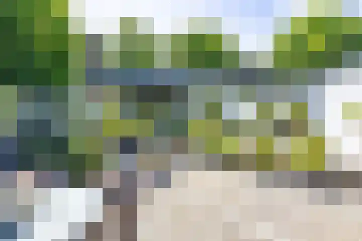 Bargapark 37 Bergen L thumbnail 52