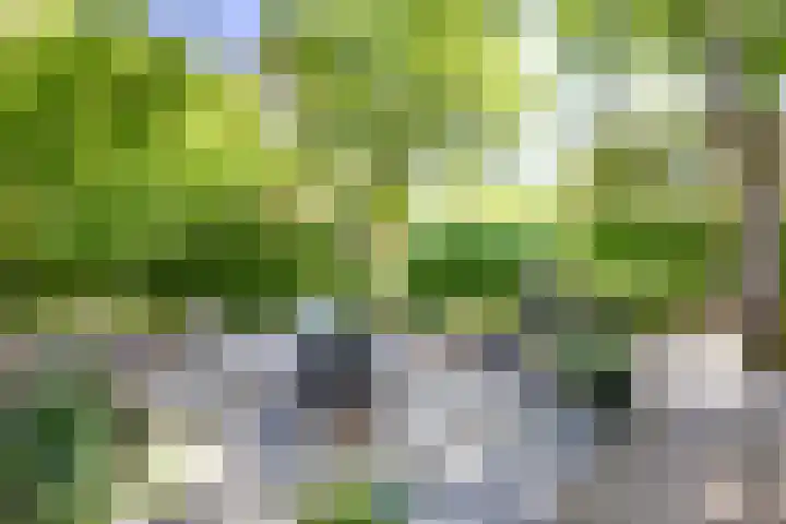Bargapark 37 Bergen L thumbnail 57