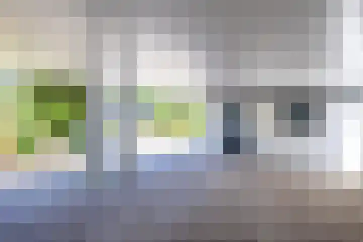 Bargapark 37 Bergen L thumbnail 62