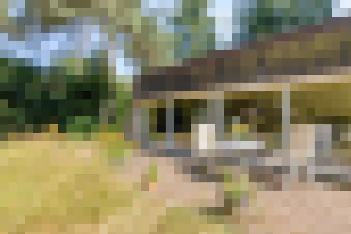 Bargapark 38 Bergen L thumbnail 18