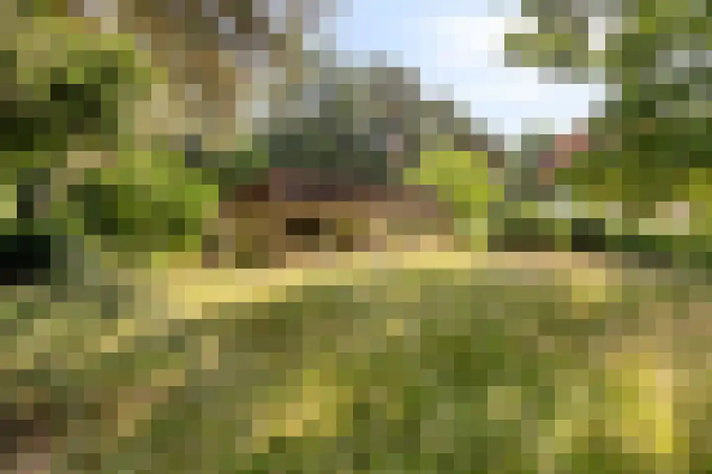 Bargapark 38 Bergen L thumbnail 19