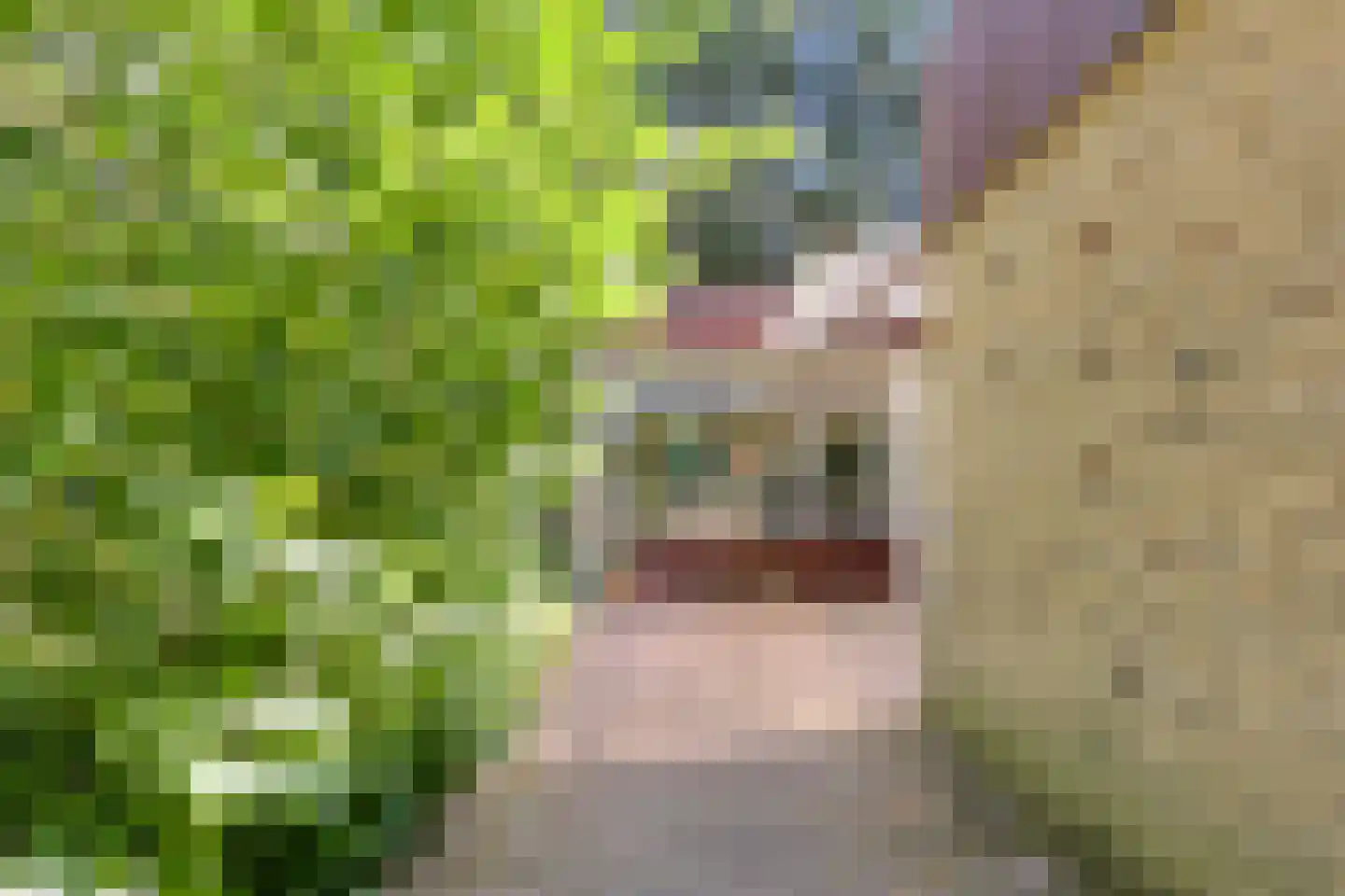 Bargapark 38 Bergen L thumbnail 21