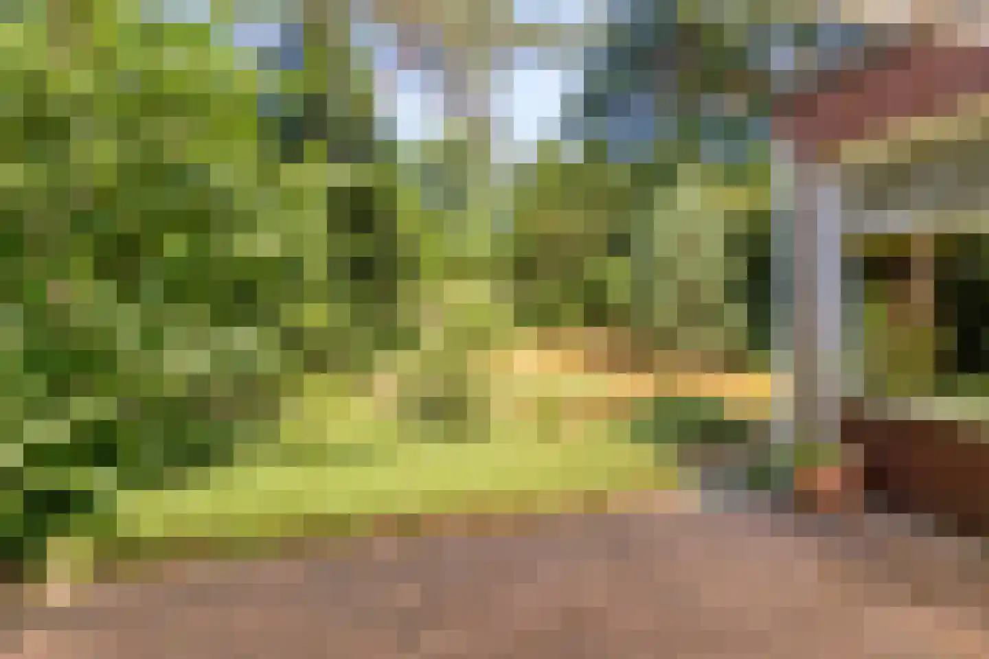 Bargapark 38 Bergen L thumbnail 22