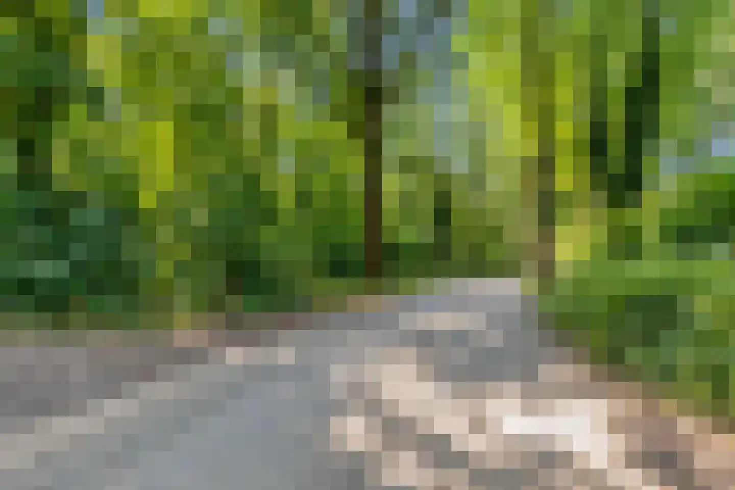 Bargapark 38 Bergen L thumbnail 23