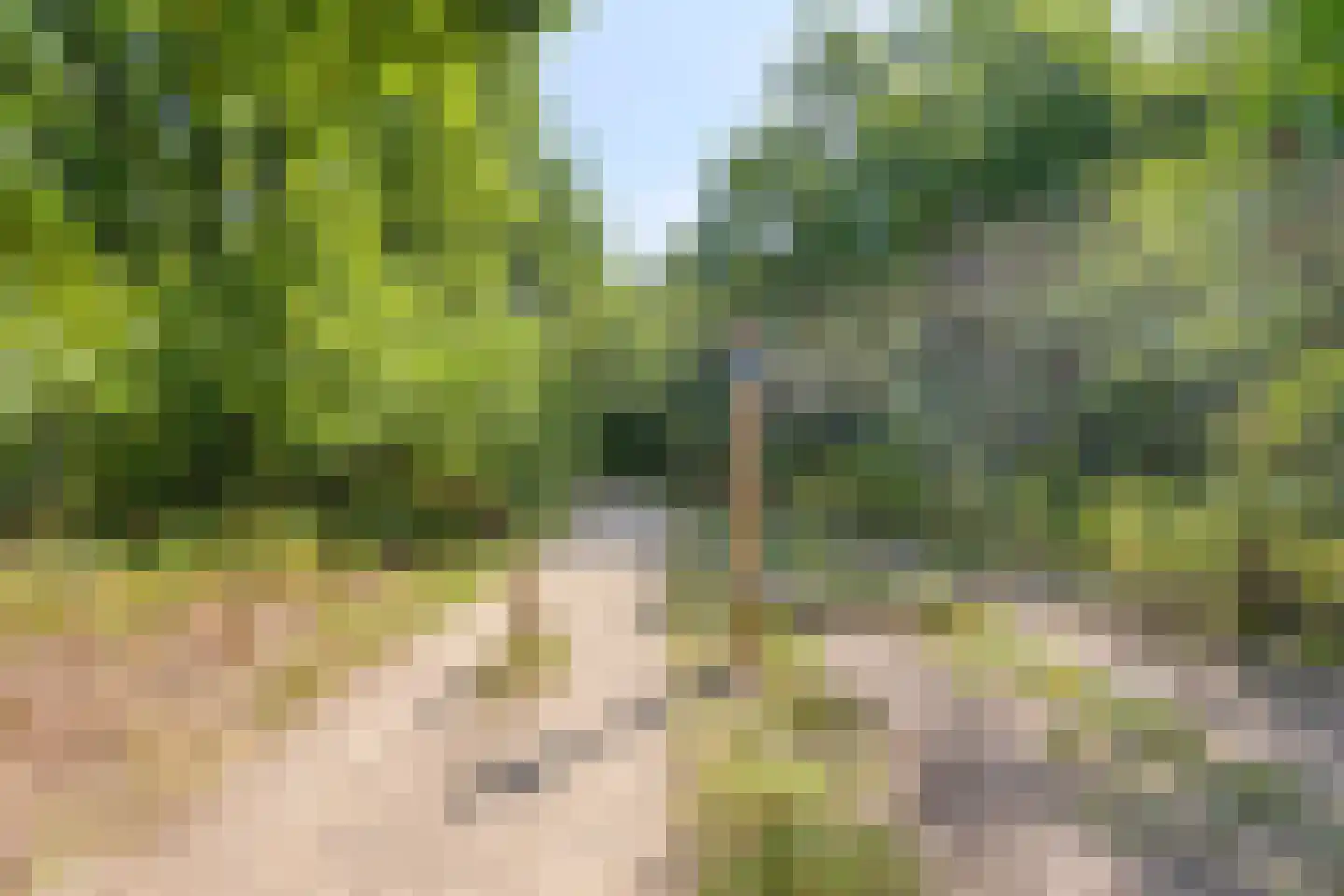 Bargapark 38 Bergen L thumbnail 24
