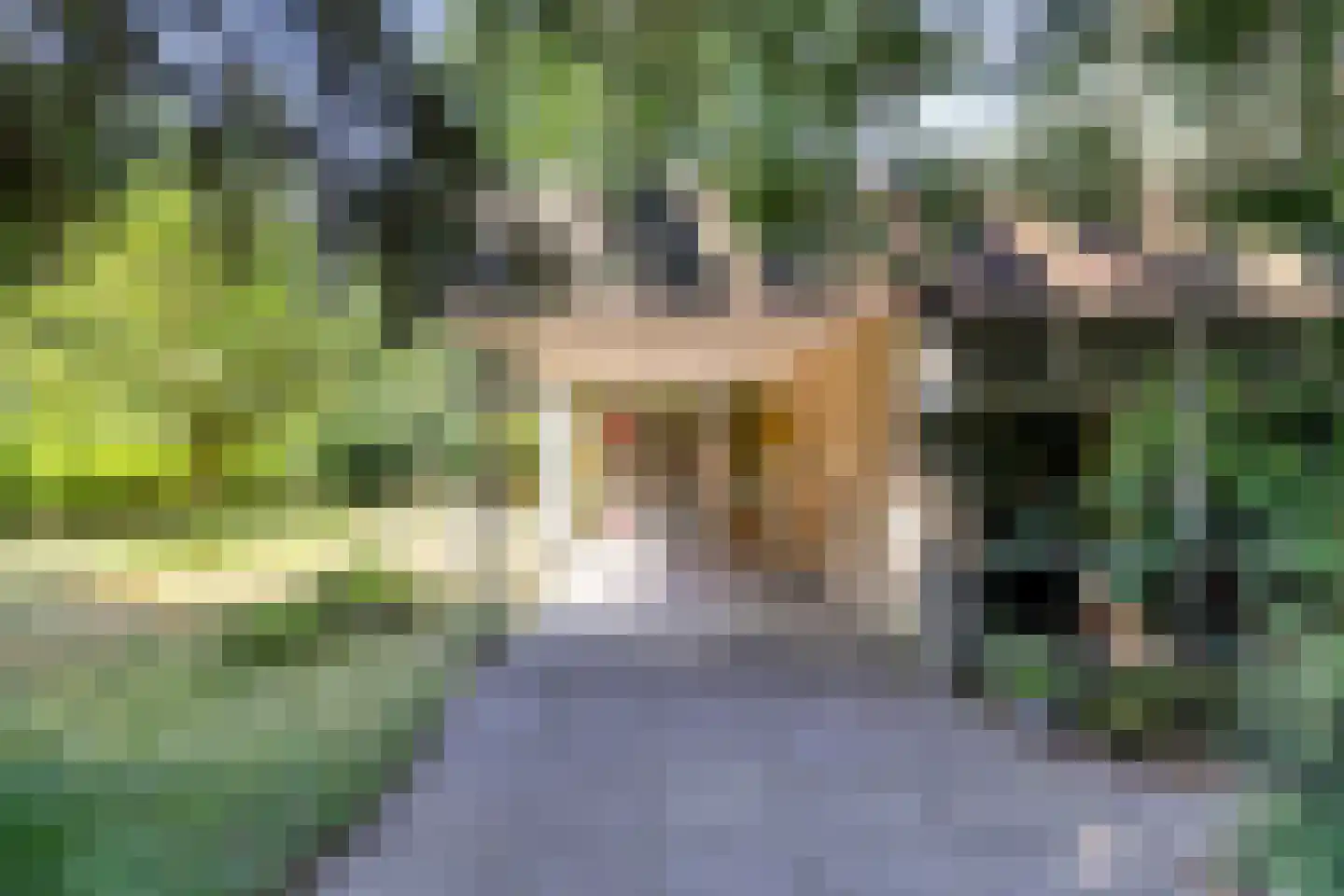 Bargapark 38 Bergen L thumbnail 4
