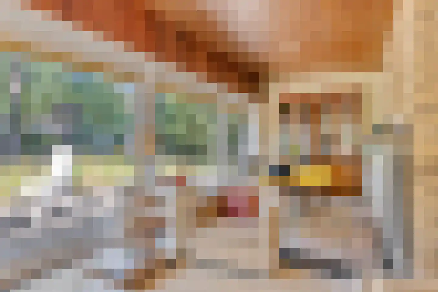 Bargapark 38 Bergen L thumbnail 8