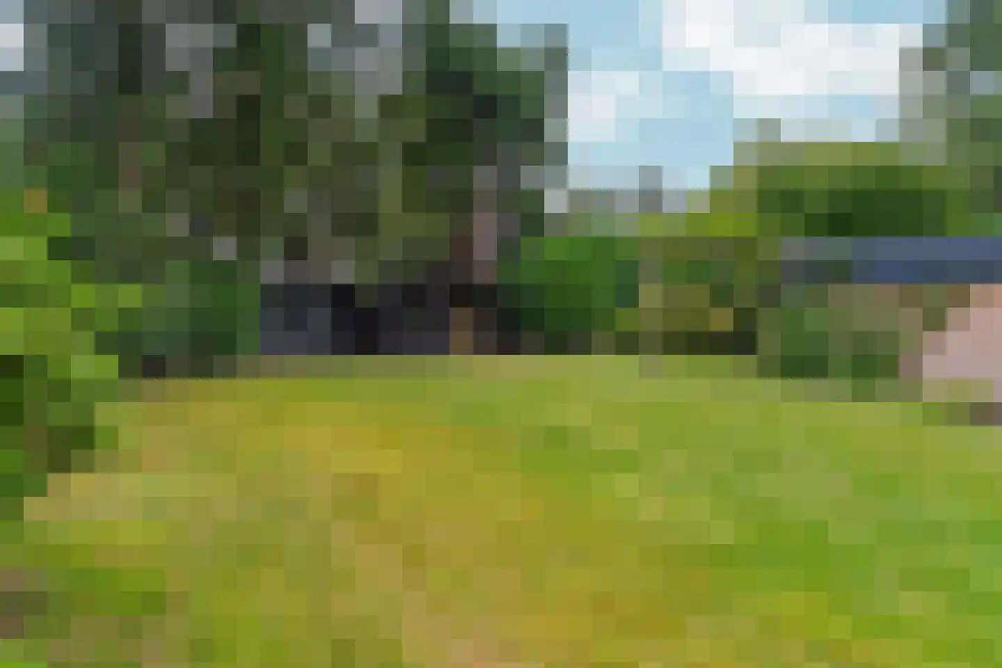 Bargapark 48 Bergen L thumbnail 22