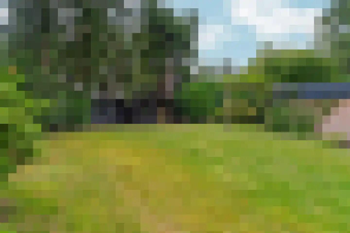 Bargapark 48 Bergen L thumbnail 23