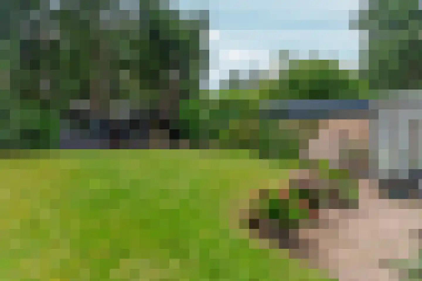 Bargapark 48 Bergen L thumbnail 29