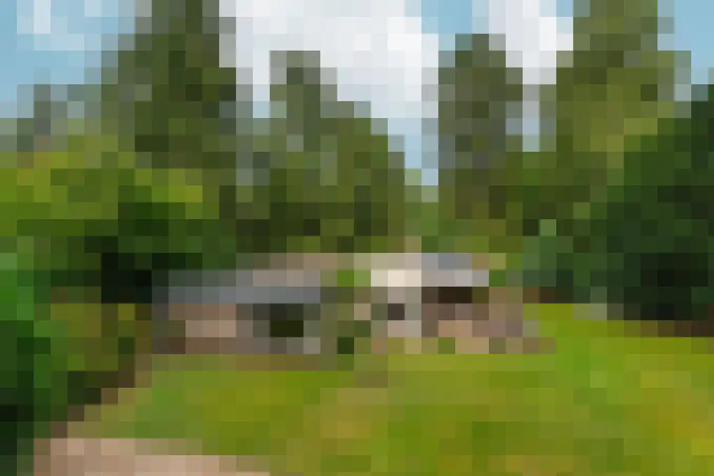 Bargapark 48 Bergen L thumbnail 32