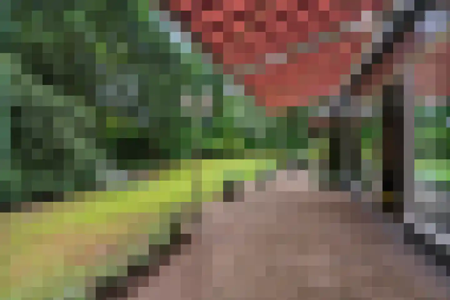 Bargapark 48 Bergen L thumbnail 34