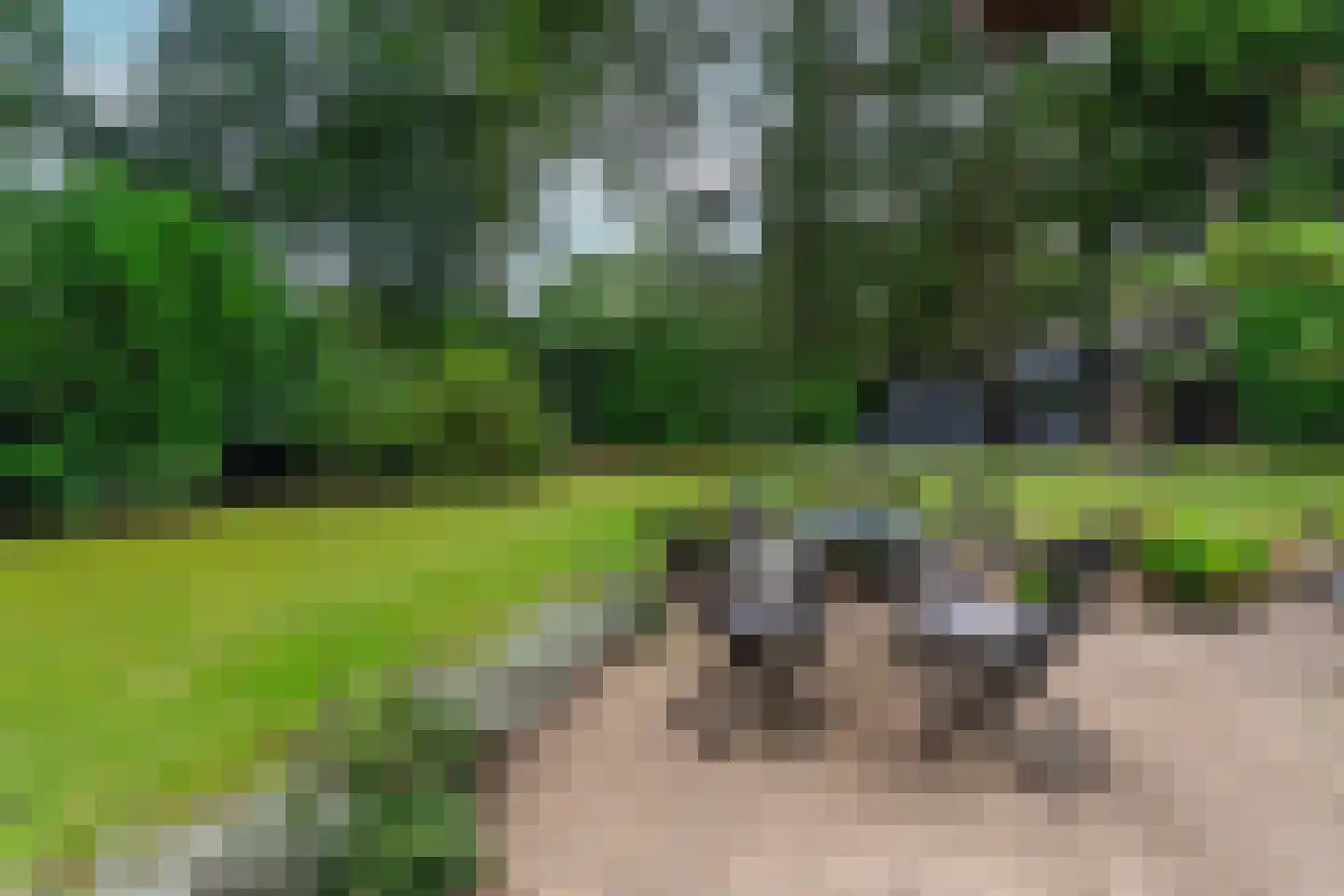 Bargapark 48 Bergen L thumbnail 36