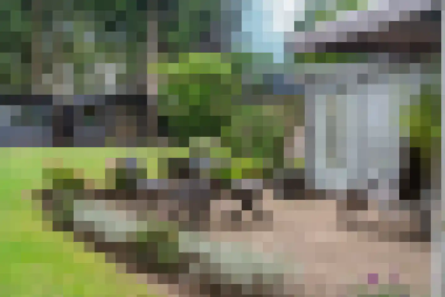 Bargapark 48 Bergen L thumbnail 36