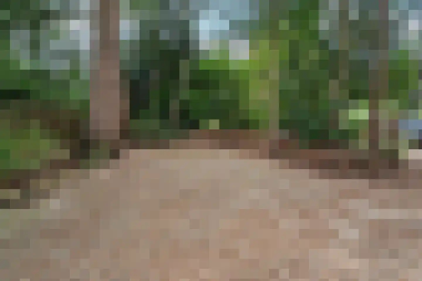 Bargapark 48 Bergen L thumbnail 39