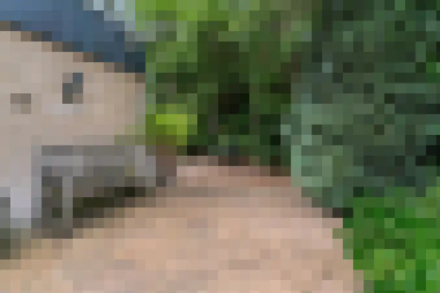 Bargapark 48 Bergen L thumbnail 4