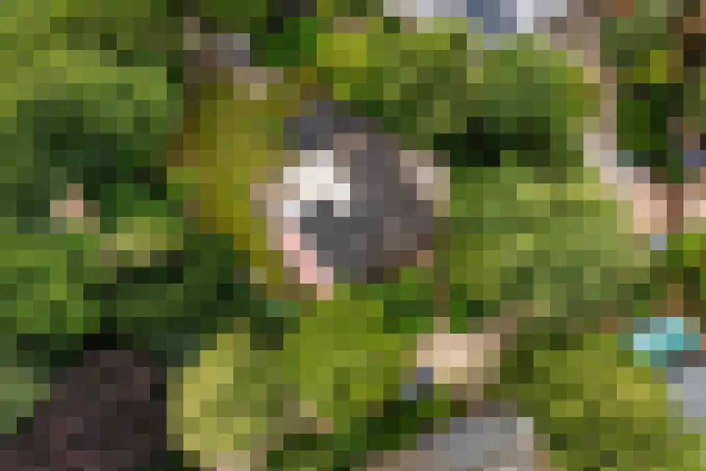 Bargapark 48 Bergen L thumbnail 40