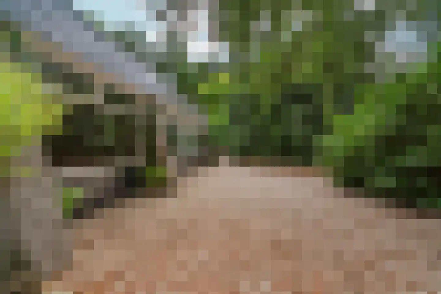 Bargapark 48 Bergen L thumbnail 5