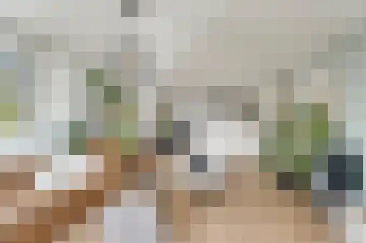 Bargelaan 70 Leiden thumbnail 17