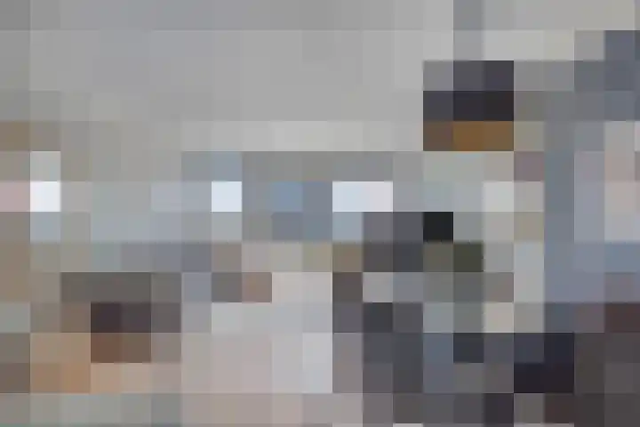 Bargelaan 78 Leiden thumbnail 19