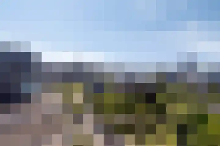 Bargelaan 78 Leiden thumbnail 22