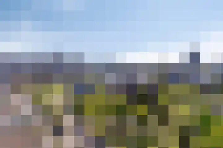 Bargelaan 78 Leiden thumbnail 23