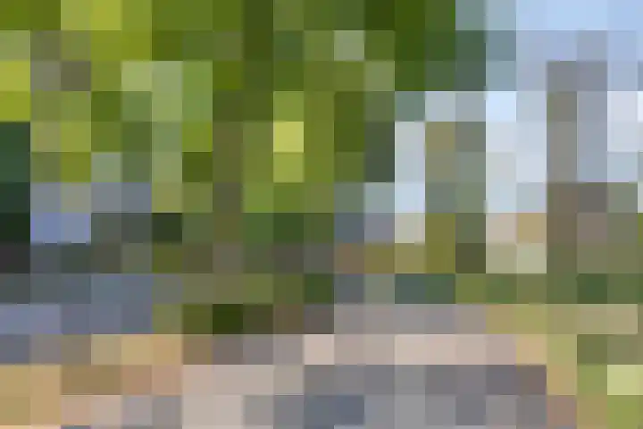 Bargelaan 78 Leiden thumbnail 38