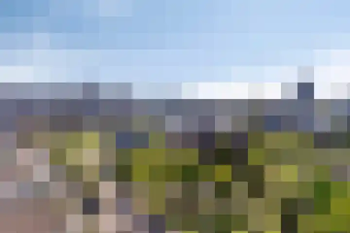 Bargelaan 78 Leiden thumbnail 4