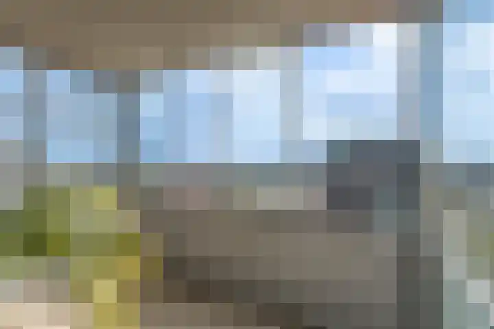 Bargelaan 94 Leiden thumbnail 27