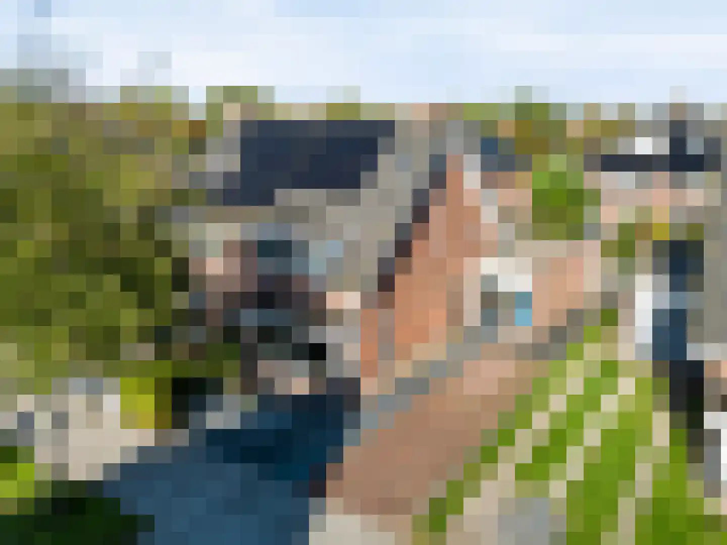 Bargengd 17 in Hippolytushoef
