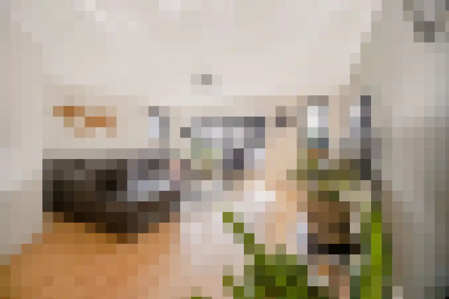 Bargengd 17 Hippolytushoef thumbnail 10