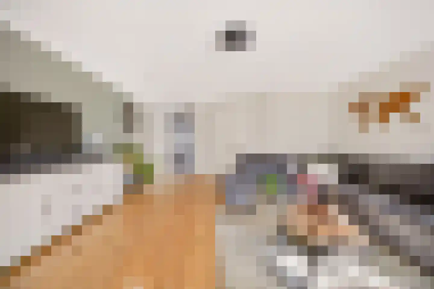 Bargengd 17 Hippolytushoef thumbnail 13