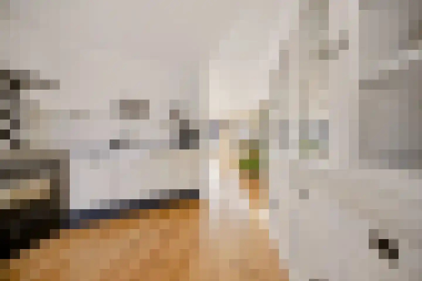 Bargengd 17 Hippolytushoef thumbnail 26