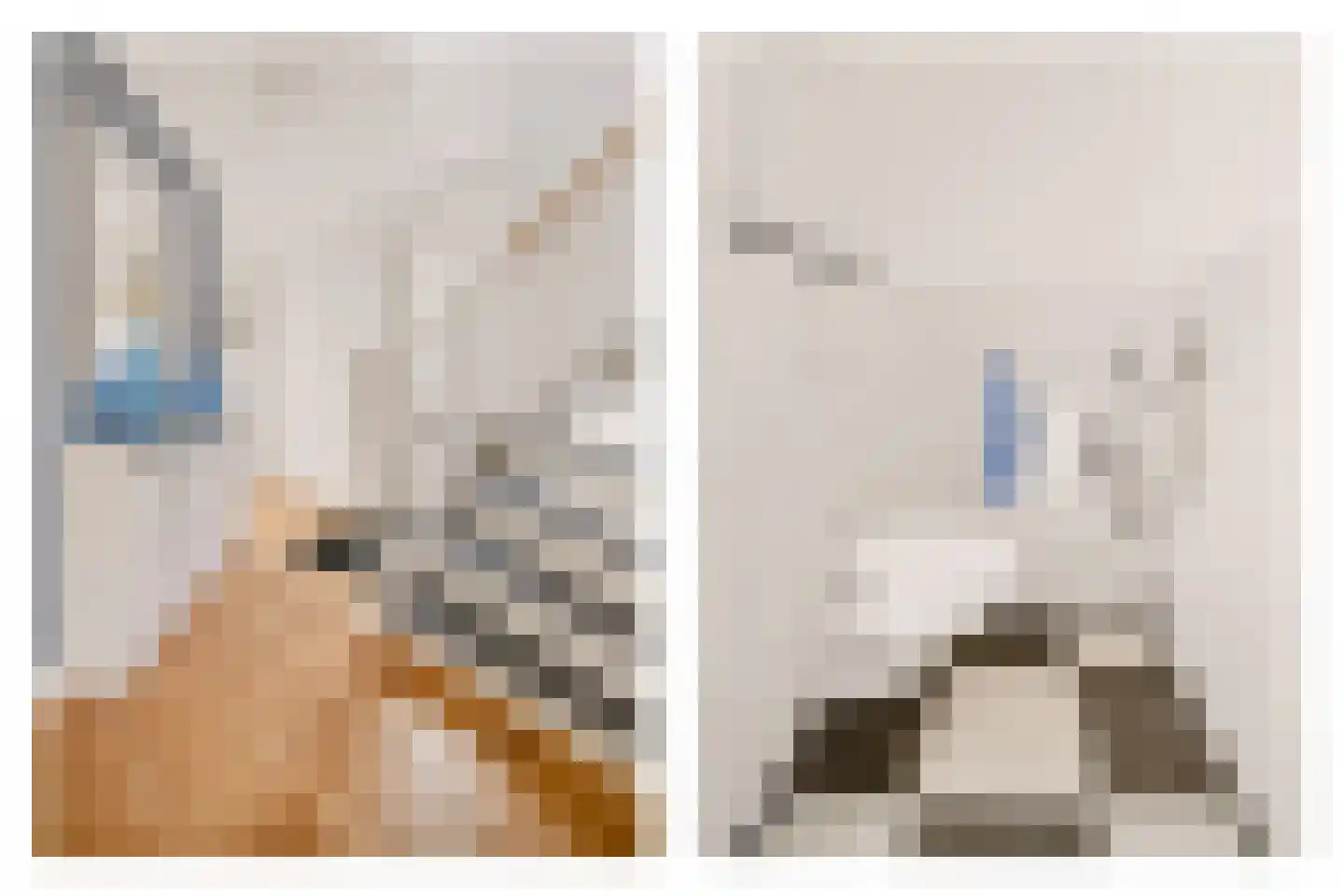 Bargengd 17 Hippolytushoef thumbnail 37