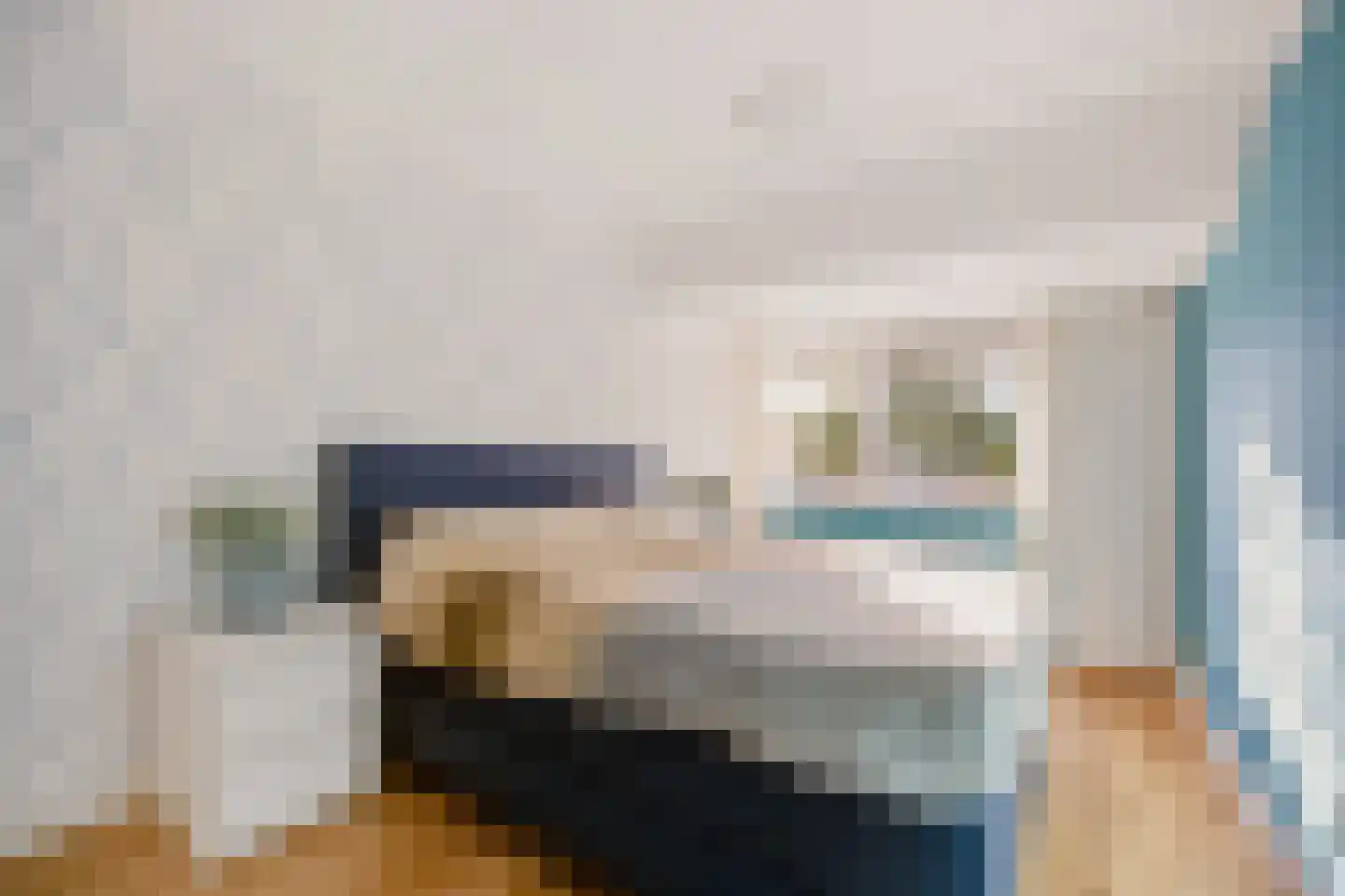 Bargengd 17 Hippolytushoef thumbnail 39