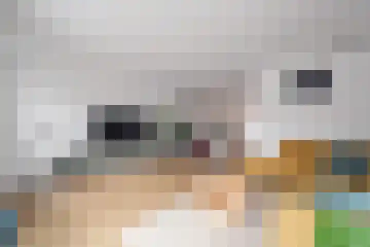 Bargengd 41 Hippolytushoef thumbnail 10