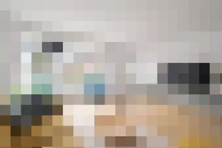 Bargengd 41 Hippolytushoef thumbnail 11