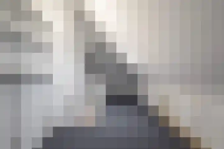 Bargengd 41 Hippolytushoef thumbnail 26