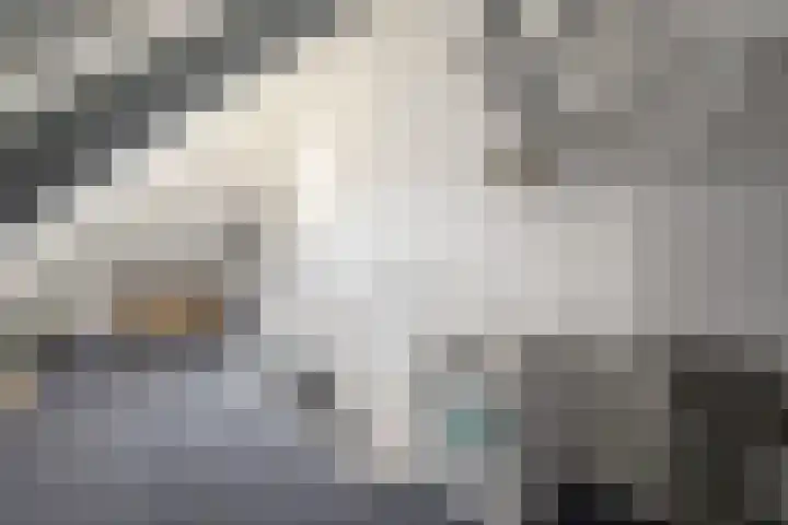 Bargengd 41 Hippolytushoef thumbnail 27