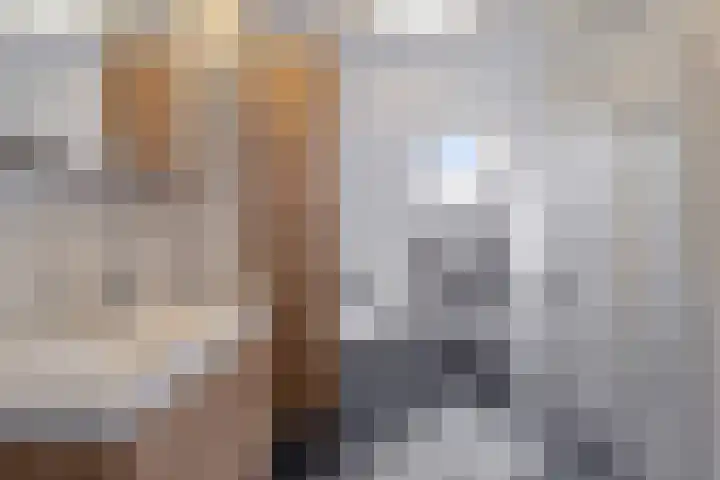 Bargengd 41 Hippolytushoef thumbnail 4