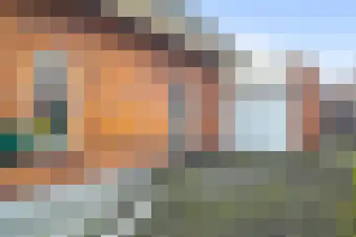 Bargengd 41 Hippolytushoef thumbnail 6