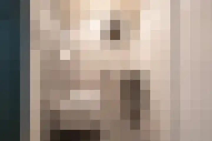 Bargengd 41 Hippolytushoef thumbnail 8